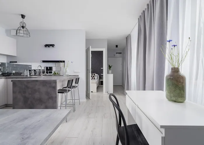 One Bedroom Apartment With A Balcony - Dietla 109 Street